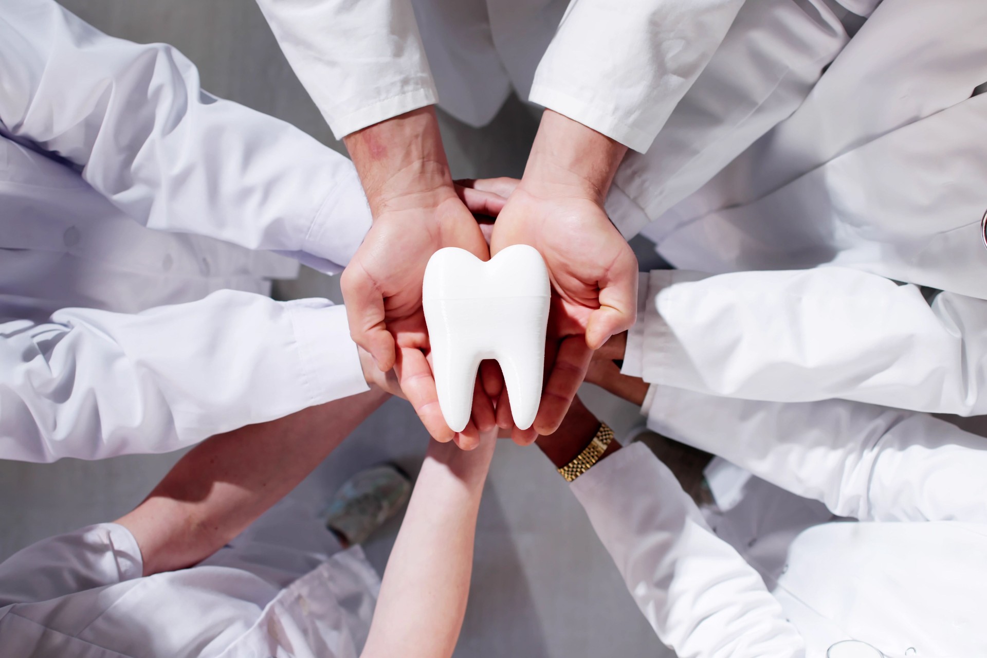 Group Of Dentists Holding Tooth